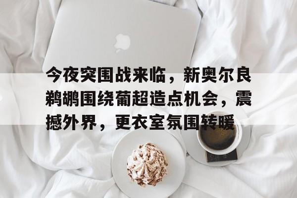 完美竞技平台官方网站-谍战剧暗夜交锋