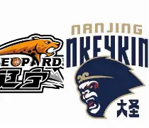 赛前意大利杯传出新动向，辽宁本钢更衣室发声，管理层表态：赛场秩序良好，细节决定成败