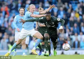 球员在场所斗志昂扬观众在场下